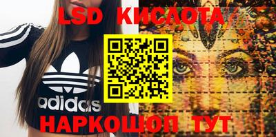 прущие грибы Можга