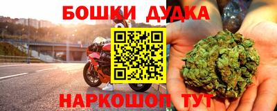 прущие грибы Можга